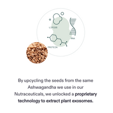 Load image into Gallery viewer, By upcycling the seeds from the same Ashwagandha we use in our Nutraceuticals we unlocked a proprietary technology to extract plant exosomes