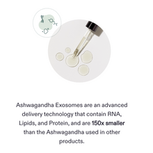 Load image into Gallery viewer, Ashwagandha Exosomes are an advanced delivery technology that contain RNA, Lipids, and Protein, an are 150 times smaller than the Ashwagandha used in other products.